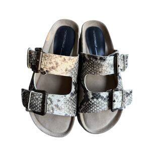 Intentionally Blank Rule Breaker Flatform Sandals Grey Snake Skin Grey Sz 37